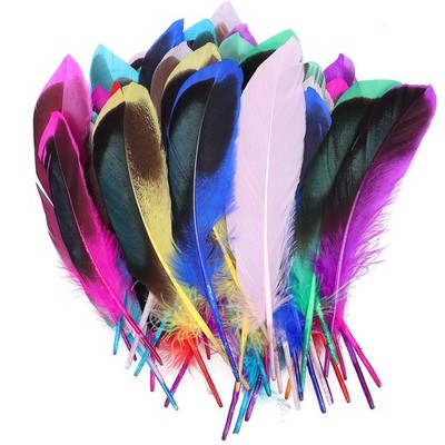 Federn Zum Basteln Flauschig und Weich Feder Feather Bastelfedern Bunte Federn