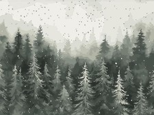 Christmas Paint by Numbers for Adults Beginner, Winter Paint by Number Kits on C