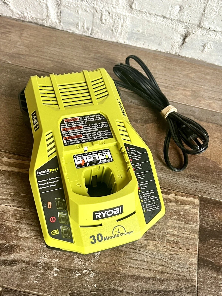 Ryobi P117 18 Volt ONE Dual Chemistry IntelliPort 30 Minute Fast