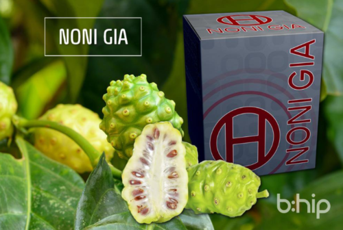 BHIP NONI GIA Antioxidant Drink | Immune + Digestion Support | 30 ...