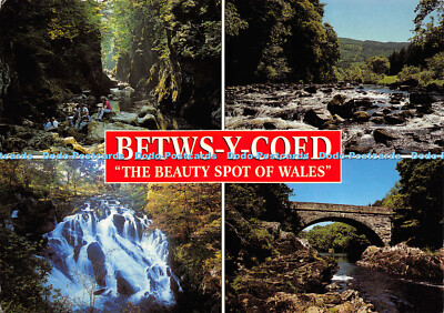 D018326 Betws y Coed. The Beauty Spot of Wales. Lachs. Multi View