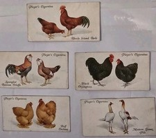 Antique: 1908-10. "Poultry". x5 Player Cigarette Cards (8, 17, 29, 31, 38)