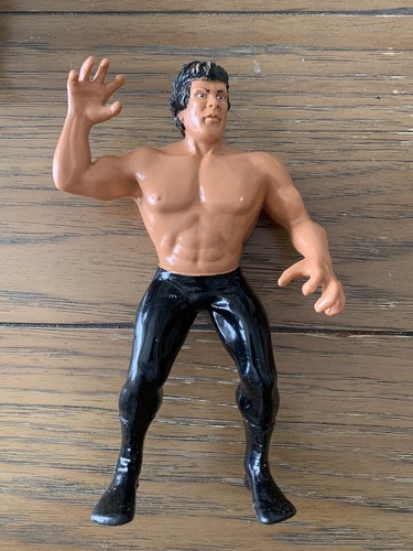 WWF LJN Titan Sports Ricky The Dragon Steamboat Vi...