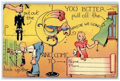 Parrot You Better Pull All The Window Put Out The Cat Lock Up The Door Postcard