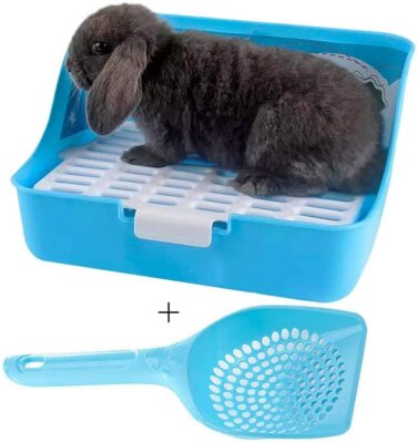 small pet litter box