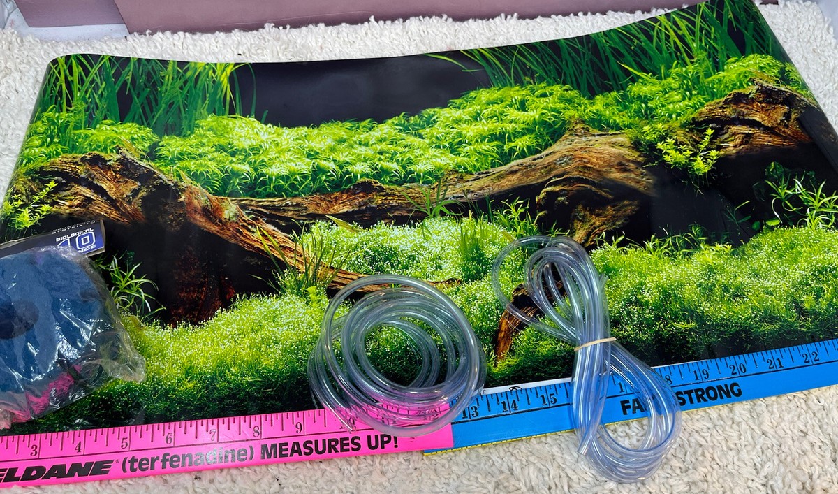 のん DoubleSided Aquarium Background Scene 12inch X 48Inch W Sponge