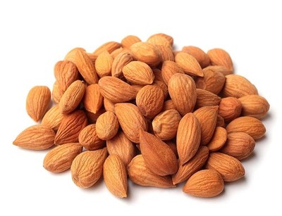 Organic Bitter Apricot Kernels 16 Oz in Resealable Bag