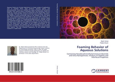 Badri Vishal (u. a.) | Foaming Behavior of Aqueous Solutions | Taschenbuch