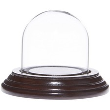 Plymor 2" x 2" Mini Glass Display Dome Cloche (Dark Mahogany Veneer Base)