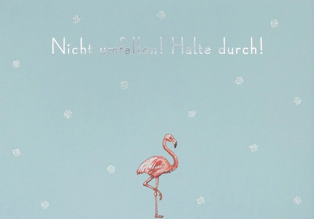 Bild 1 von 1