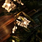 Bild 80 von 173