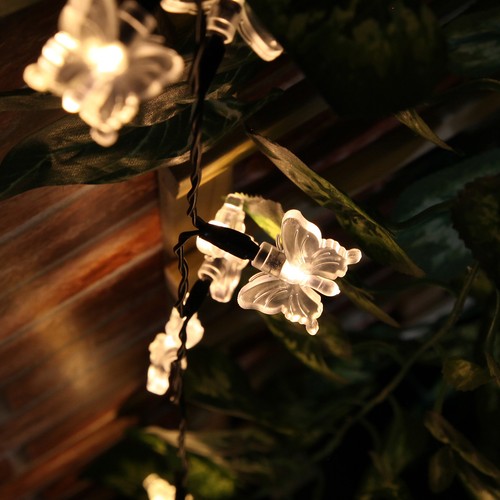 5m Battery LED Outdoor Fairy String Timer Green Cable Lights | Berry Heart Star - Picture 80 of 173