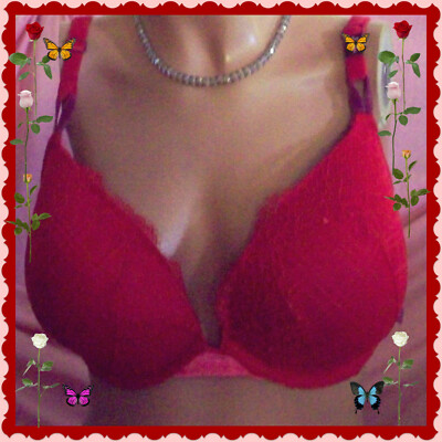 38DD Red LACE Mesh Wings VELVET Extreme Lift Victorias Secret Plunge PU UW Bra 