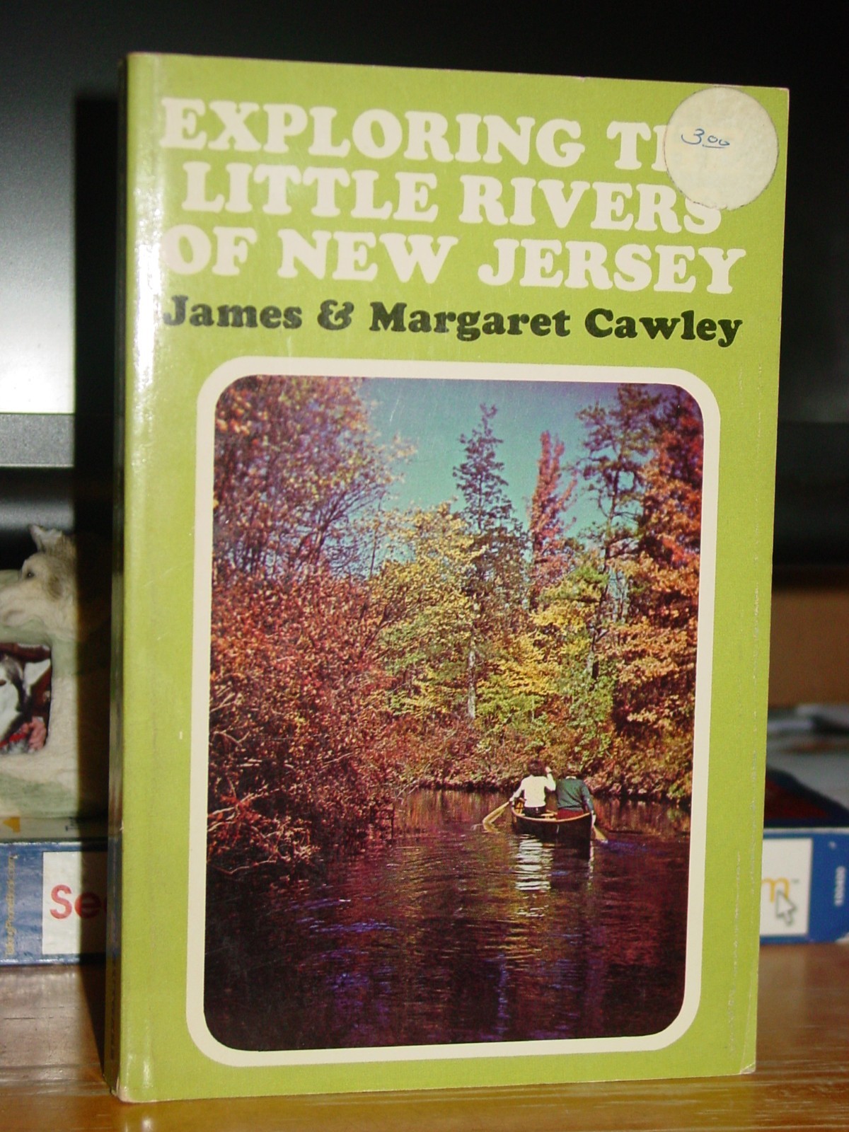 Exploring the Little Rivers of New Jersey, Canoeing & Camping, Pine