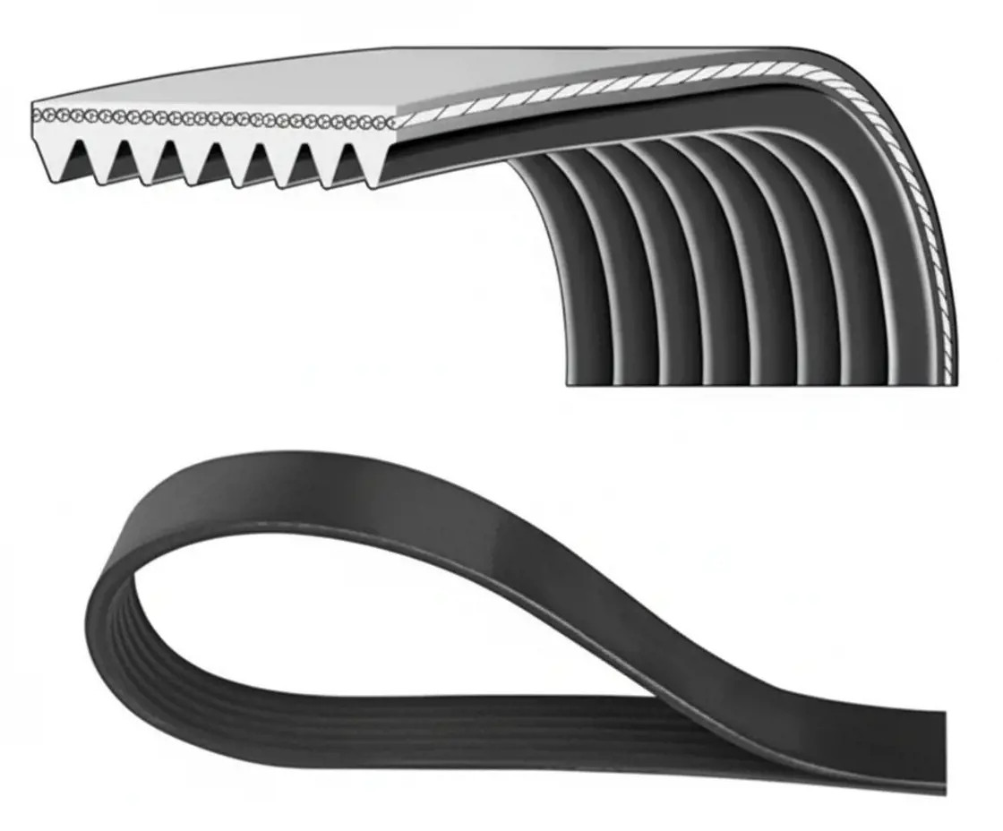 Dayco Keilrippenriemen [Hersteller-Nr. 8PK1230] für Mazda - Bild 2