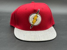 The Flash Embroidered Logo Hat - Souvenir From Six Flags America