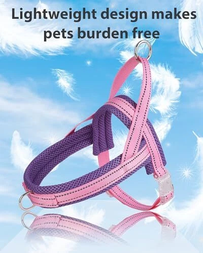 Dog Harness No Pull Dog Harness for Dogs Puppy Harness with Medium Pink