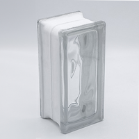 Basic Glasbaustein Halbstein Wolke Klar, 19 X 9 X 8 Cm - 10 StüCk