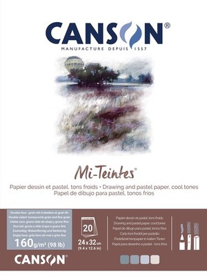 20 Sheets Mi-Teintes Paper, 24x32cm, 160gsm, Double Sided, 4 Cool Tones