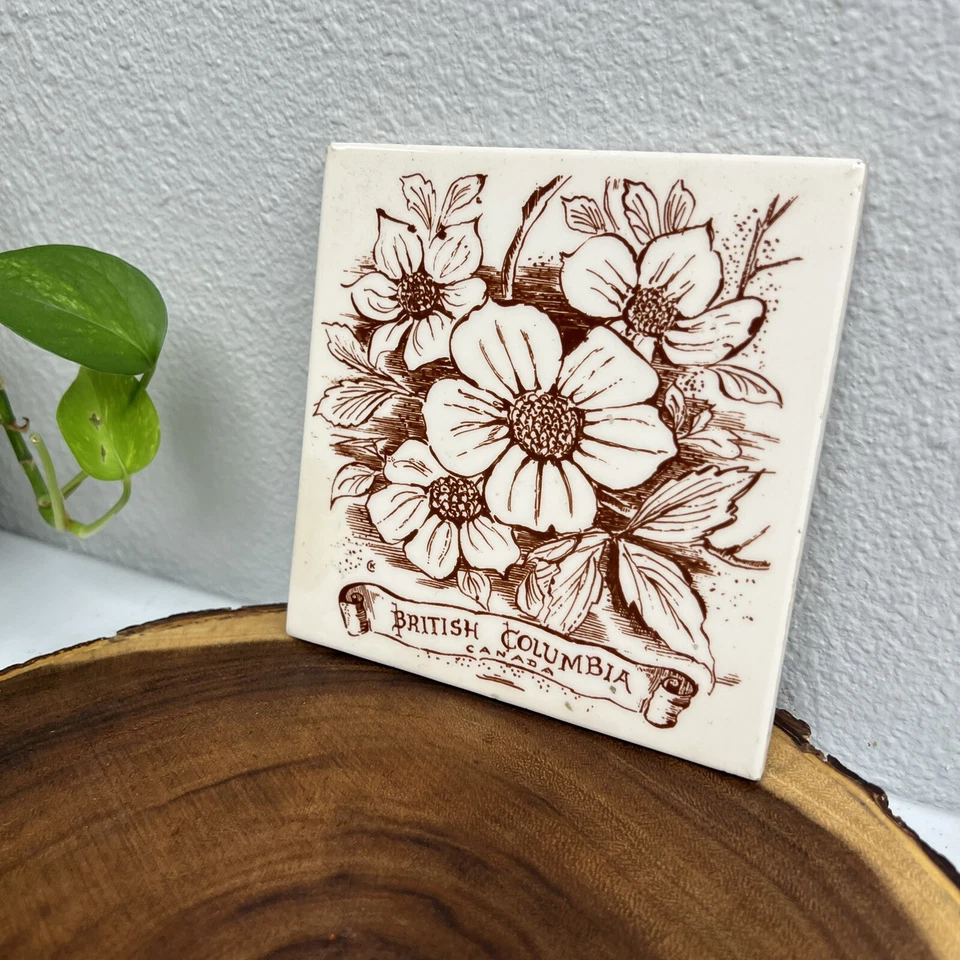 British Columbia Canadá Salpicadero Decorativo Cerámica Arte Pared Azulejo Cocina Foto 2 de 4