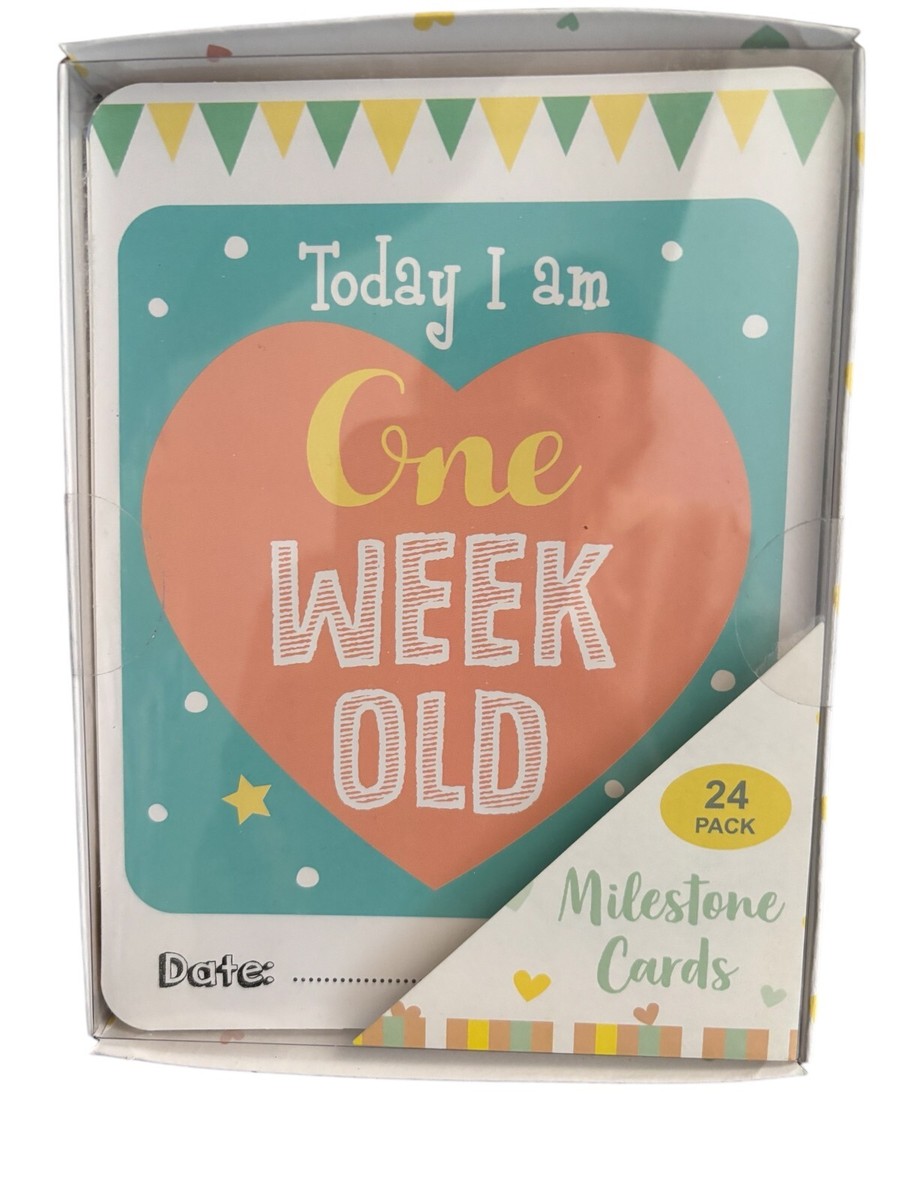 Fetus 24 Weeks From Now Date Digital Pregnancy Test With Weeks