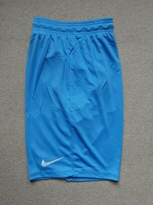 sky blue nike shorts
