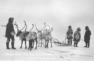Deering Entry Four Deer Race Marys Igloo Alaska AK - Reprint