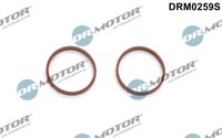 Dr.Motor Automotive DRM0259S Dichtungssatz AnsaugkrüMmer FüR CitroËN, Dacia, DS