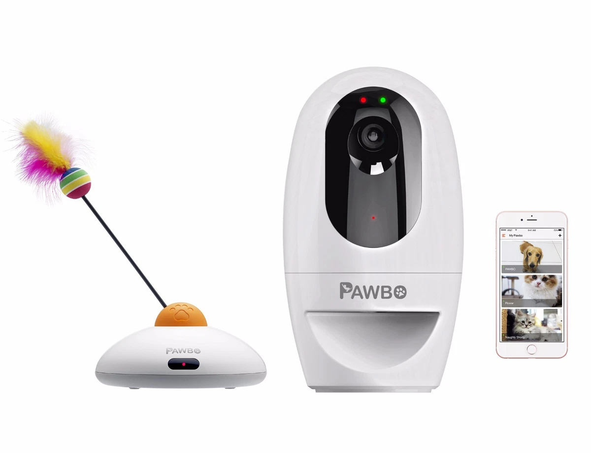 Pawbo pet camera australia clearance
