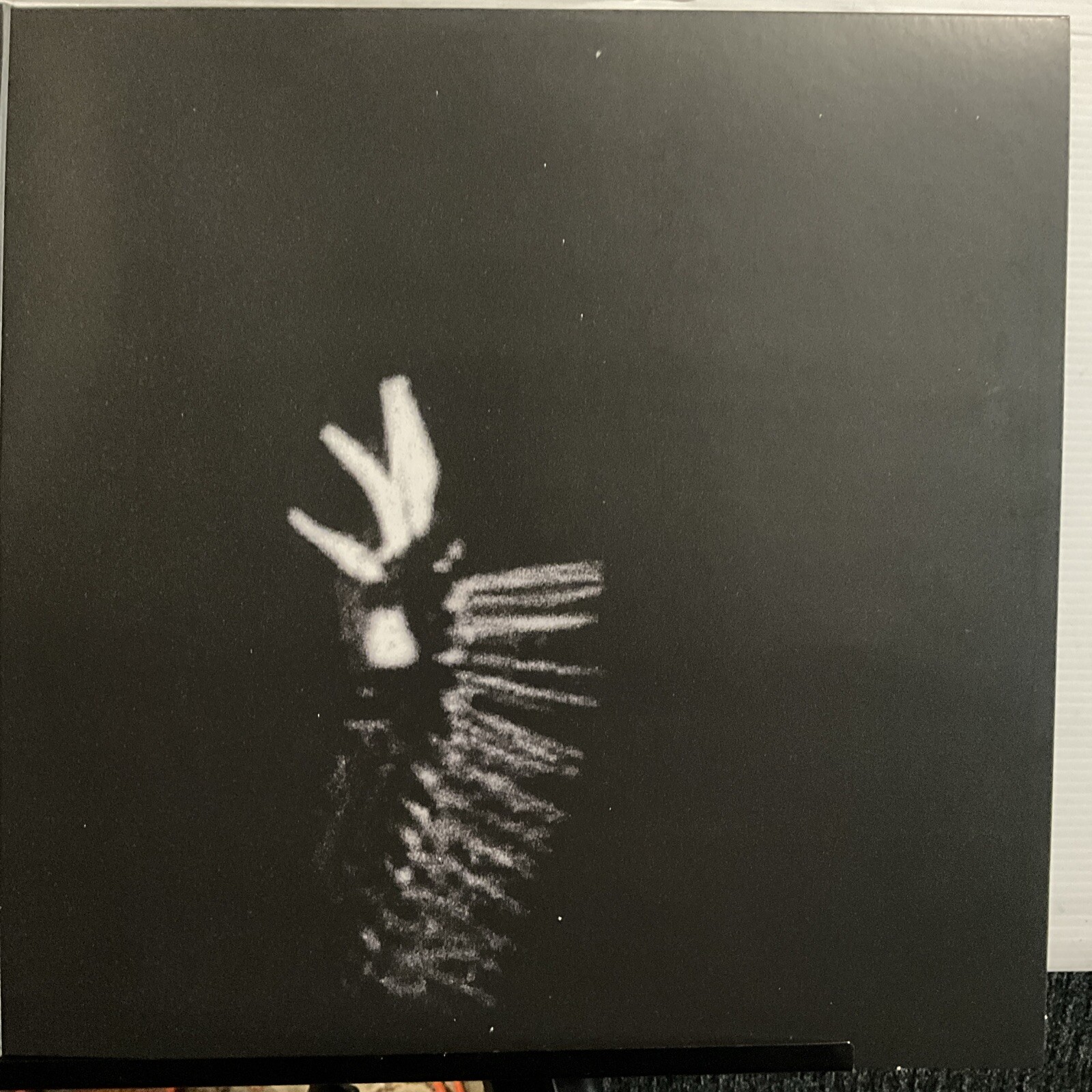 Picture 5 of 7
