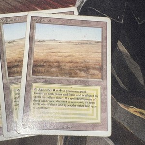 Magic The Gathering Savannah | eBay