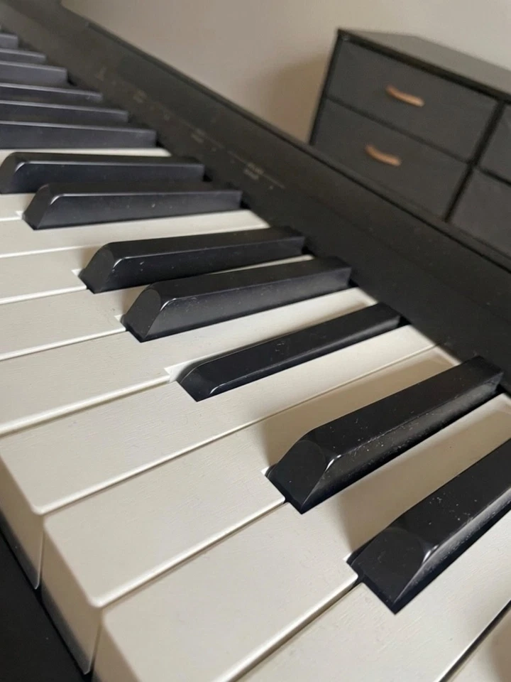 Roland FP-10, photo 3 of 3