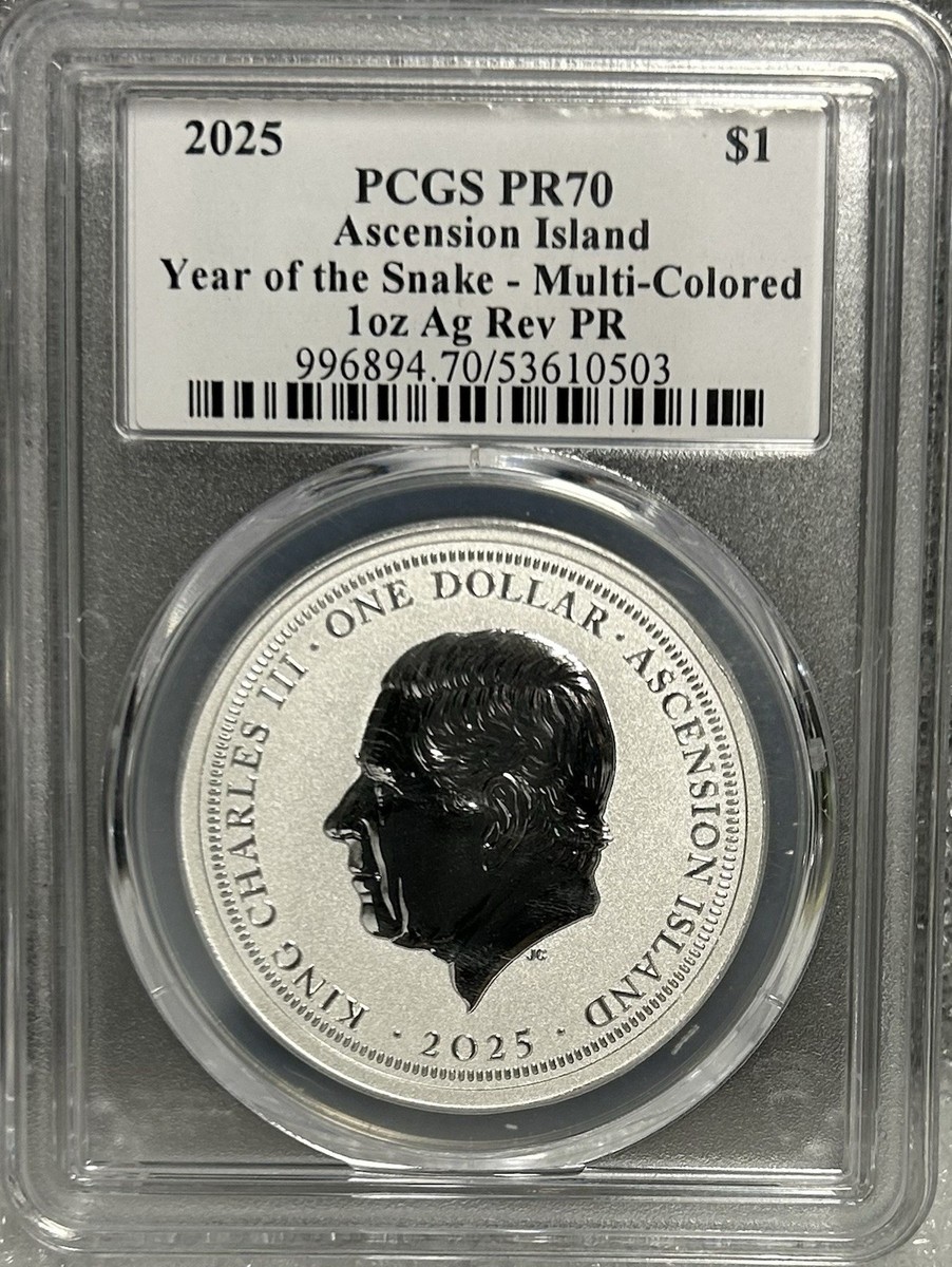 snakeです Snake - YouTube