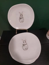 WILLIAMS-SONOMA DEBOSSED BUNNY PLATES (4) Easter Thick Asymmetrical White Plates
