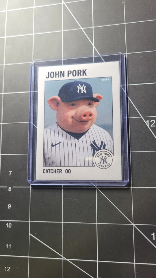 Бейсбольная карточка дебютанта Джона Порка No00 Catcher мем пародия спортивная карточка TheAlexStudio - Изображение 3 из 3