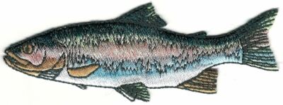 Realistic Rainbow Trout Game Sport Trophy Fish Embroidery Patch Facing Left