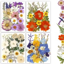 Dried Pressed Flowers 80pcs Real Natural Pressed Flowers Bulk For Resin Nail Art