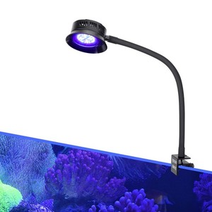 Led Lighting for Coral Nursery Tanks: Boost Growth & Vibrancy