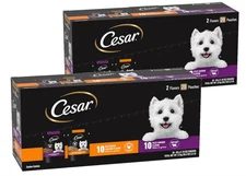 Cesar Canine Cuisine Wet Dog Food - Classic Loaf in Sauce Beef, Filet Mignon,...