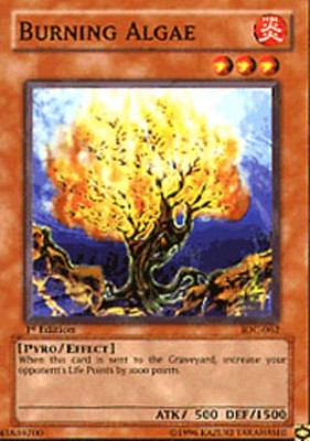Burning Algae - IOC-062 - Common - 1st Edition - Damaged