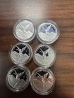 1/10 Ounce Silver Linertad