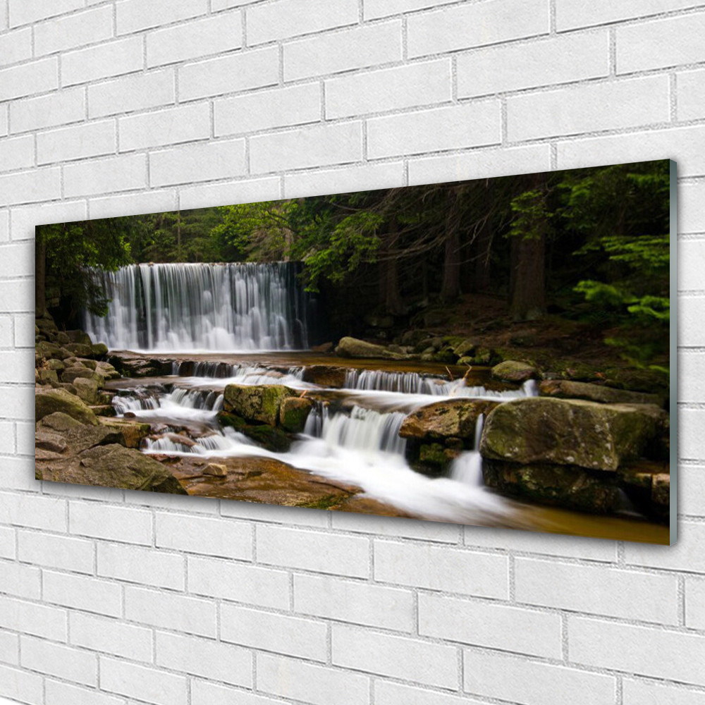 Image sur verre acrylique haute définition paysage de forêt luxueuse