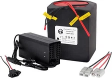 60V Ebike Battery Pack 20ah Lithium Lifepo4 for 250W-1500W Electric Bike 50A BMS