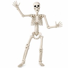 36" Halloween Skeleton, 3 ft Human Skeleton Full Body Posable Joints Plastic ...