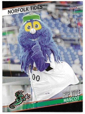 Rip Tide Mascot 2024 Choice Norfolk Tides #07 Orioles