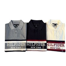 Tommy Hilfiger Mens Cotton Mesh Regular Fit Monotype Colorblock Embroidered Polo