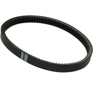 humpback correction belt