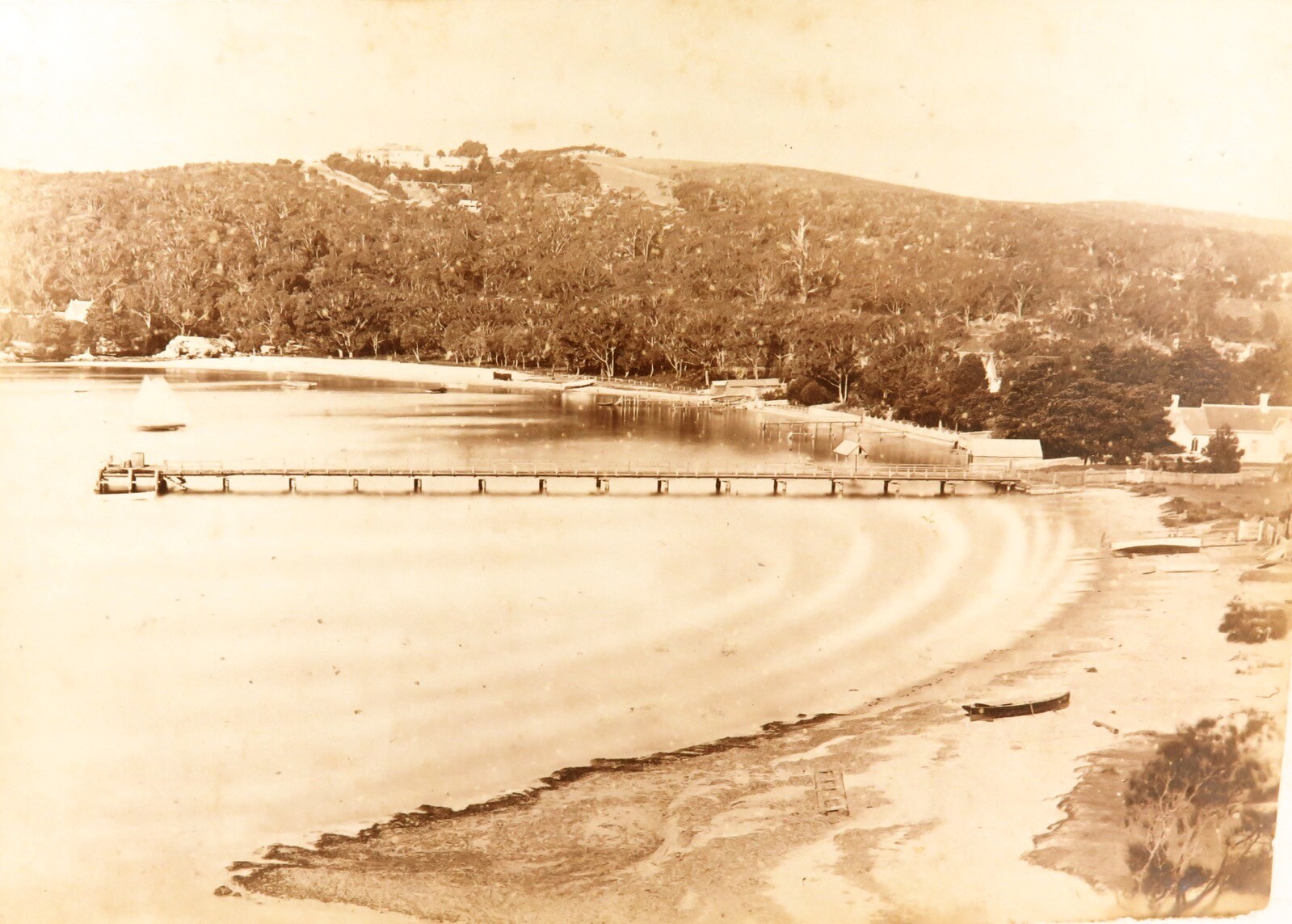 Rare c1870s N J Caire “Views of New South Wales” Photo. View of Double Bay.