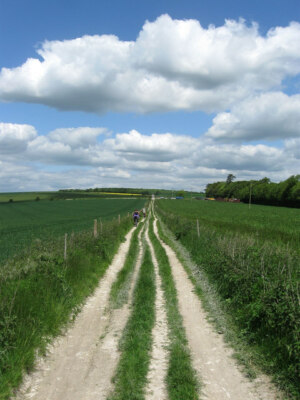 Photo 6x4 Restricted Byway, Muntham Down North End Looking along the stra c2013