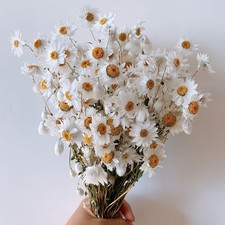 Dried Daisy Flowers Bouquet, 150 Dry White Flowers, Artificial Sunflowers, 1...